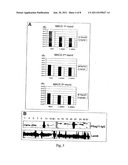 S. AGALACTIAE ANTIGENS I & II diagram and image