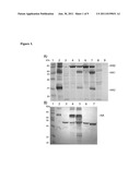 Vaccine to Influenza A Virus diagram and image