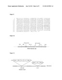 Vaccine to Influenza A Virus diagram and image