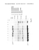 MVA expressing modified HIV envelope, GAG, and POL genes diagram and image