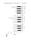 INCREASED FOLATE PRODUCTION LEVELS IN LACTOBACILLUS FERMENTING MELON JUICE diagram and image