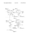 Novel canola protein isolate diagram and image