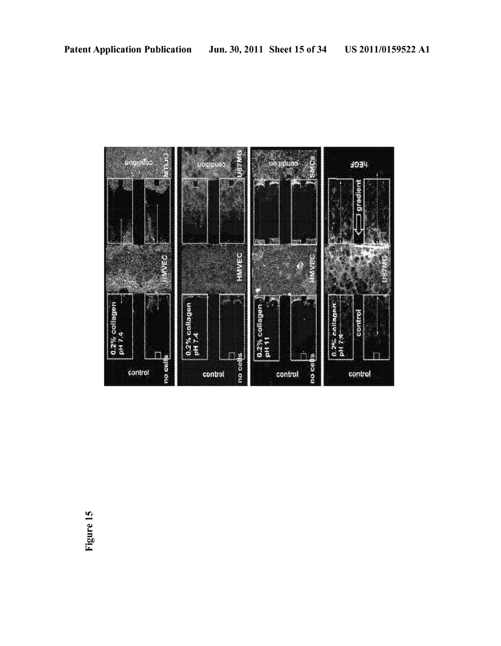 Three-Dimensional Microfluidic Platforms and Methods of Use Thereof - diagram, schematic, and image 16
