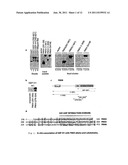 GEF-H1b: BIOMARKERS, COMPLEXES, ASSAYS AND THERAPEUTIC USES THEREOF diagram and image