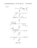 METHOD FOR AMPLIFYING MONOMORPHIC-TAILED NUCLEIC ACIDS diagram and image