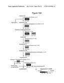 MODIFIED YEAST STRAINS EXHIBITING ENHANCED FERMENTATION OF LIGNOCELLULOSIC     HYDROLYSATES diagram and image