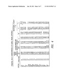 DUAL LAYER COLOR-CENTER PATTERNED LIGHT SOURCE diagram and image