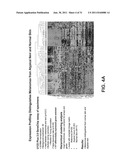 Diagnosis of Melanoma and Solar Lentigo by Nucleic Acid Analysis diagram and image