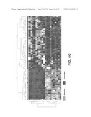 Diagnosis of Melanoma and Solar Lentigo by Nucleic Acid Analysis diagram and image