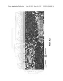 Diagnosis of Melanoma and Solar Lentigo by Nucleic Acid Analysis diagram and image