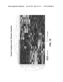 Diagnosis of Melanoma and Solar Lentigo by Nucleic Acid Analysis diagram and image