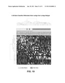 Diagnosis of Melanoma and Solar Lentigo by Nucleic Acid Analysis diagram and image