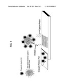 Nanocrystal-Based Lateral Flow Microarrays and Low-Voltage Signal     Detection Systems diagram and image