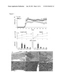 Alpha B-Crystallin as a therapy for inflammation diagram and image