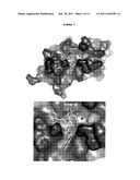 COMPOUND THAT CAN INHIBIT UBC13-UEV INTERACTIONS, PHARMACEUTICAL     COMPOSITIONS AND THERAPEUTIC USES diagram and image