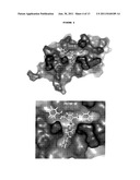 COMPOUND THAT CAN INHIBIT UBC13-UEV INTERACTIONS, PHARMACEUTICAL     COMPOSITIONS AND THERAPEUTIC USES diagram and image