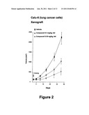 CARBOLINE DERIVATIVES USEFUL IN THE INHIBITION OF ANGIOGENESIS diagram and image