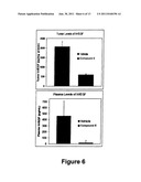 CARBOLINE DERIVATIVES USEFUL IN THE INHIBITION OF ANGIOGENESIS diagram and image