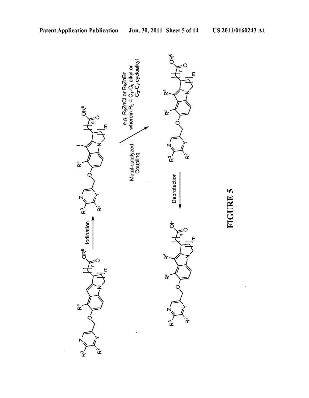 SUBSTITUTED TRICYCLIC ACID DERIVATIVES AS S1P1 RECEPTOR AGONISTS USEFUL IN     THE TREATMENT OF AUTOIMMUNE AND INFLAMMATORY DISORDERS - diagram, schematic, and image 06