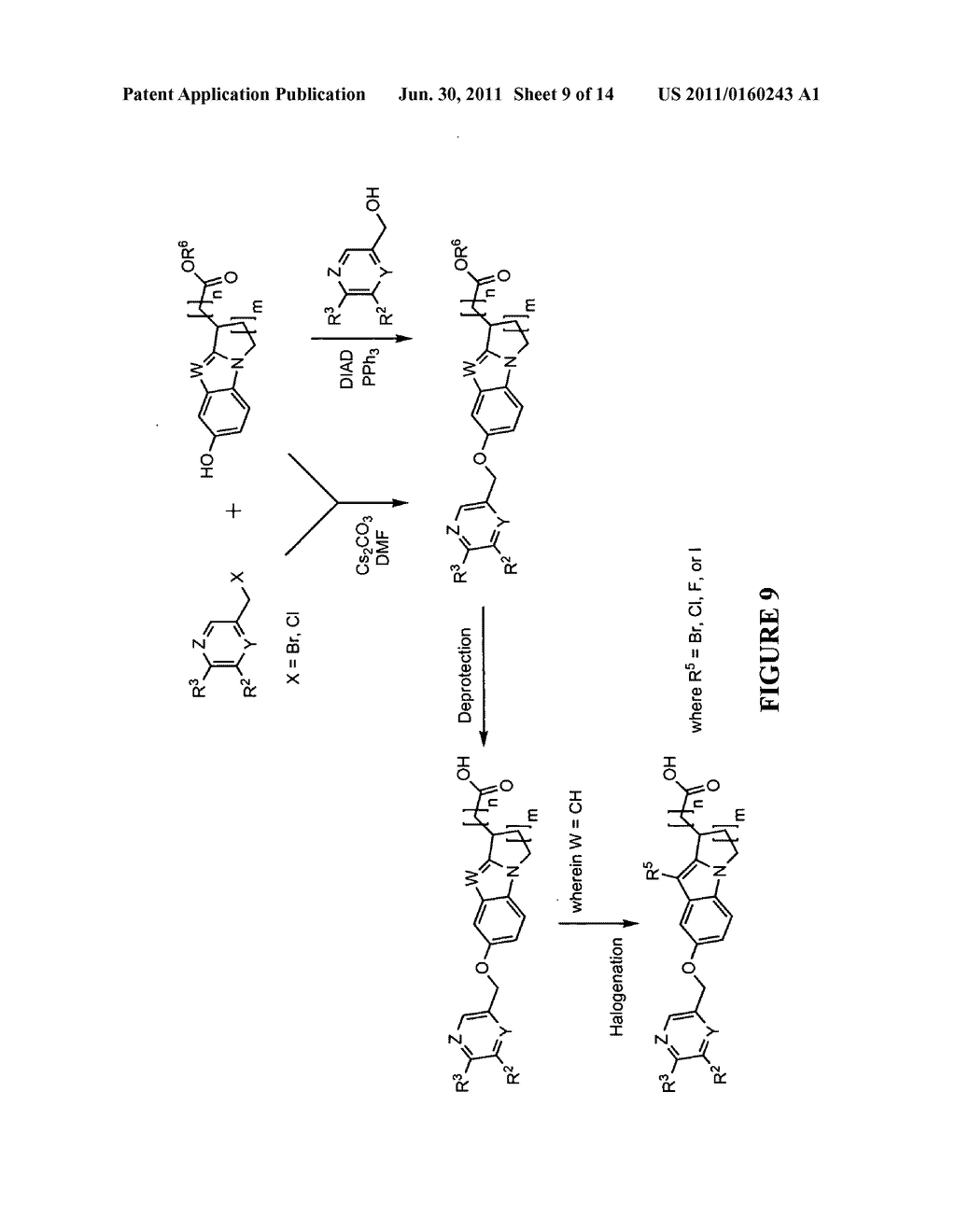 SUBSTITUTED TRICYCLIC ACID DERIVATIVES AS S1P1 RECEPTOR AGONISTS USEFUL IN     THE TREATMENT OF AUTOIMMUNE AND INFLAMMATORY DISORDERS - diagram, schematic, and image 10