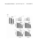 POTENTIATOR OF ACTIVITY OF ANTI-CANCER AGENT AND USE THEREOF, AND     BIOMARKER FOR PREDICTION OF PROGNOSIS IN CANCER PATIENT AND USE THEREOF diagram and image