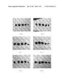 MYOCARDIAL PEPTIDE, PREPARATION METHOD AND USES THEREOF diagram and image