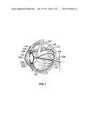 PROCESSES AND APPARATUS FOR PREVENTING, DELAYING OR AMELIORATING ONE OR     MORE SYMPTOMS OF PRESBYOPIA diagram and image