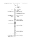 LAND SETTLEMENT MEASURING APPARATUS AND SYSTEM diagram and image