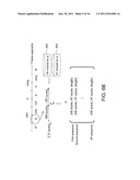 APPARATUS, METHOD AND SYSTEM FOR GENERATING THRESHOLD FOR UTTERANCE     VERIFICATION diagram and image