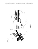 HYBRID POLYMER COMPOSITIONS WITH ENHANCED BIO-DEGRADABILITY diagram and image