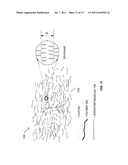 HYBRID POLYMER COMPOSITIONS WITH ENHANCED BIO-DEGRADABILITY diagram and image