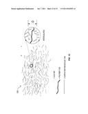 HYBRID POLYMER COMPOSITIONS WITH ENHANCED BIO-DEGRADABILITY diagram and image