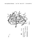 HYBRID POLYMER COMPOSITIONS WITH ENHANCED BIO-DEGRADABILITY diagram and image