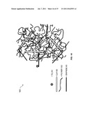 HYBRID POLYMER COMPOSITIONS WITH ENHANCED BIO-DEGRADABILITY diagram and image