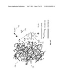 HYBRID POLYMER COMPOSITIONS WITH ENHANCED BIO-DEGRADABILITY diagram and image