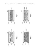 METHODS FOR PASSIVATING A CARBONIC NANOLAYER diagram and image