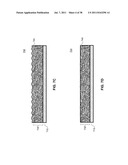 METHODS FOR PASSIVATING A CARBONIC NANOLAYER diagram and image