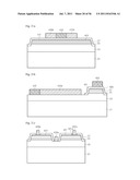 LIGHT EMITTING DIODE HAVING ELECTRODE PADS diagram and image