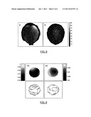 TRANSCEIVE SURFACE COIL ARRAY FOR MAGNETIC RESONANCE IMAGING AND     SPECTROSCOPY diagram and image