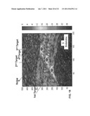 SYSTEM AND METHOD FOR ITERATIVE FOURIER SIDE LOBE REDUCTION diagram and image