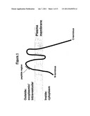 SPECIFIC BINDING MEMBERS AGAINST SYNAPTOPHYSIN diagram and image