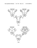 Complex Compound and MRI Probe Made of Same diagram and image