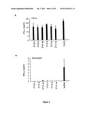 5  TRIPHOSPHATE OLIGONUCLEOTIDE WITH BLUNT END AND USES THEREOF diagram and image