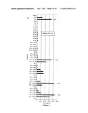 5  TRIPHOSPHATE OLIGONUCLEOTIDE WITH BLUNT END AND USES THEREOF diagram and image