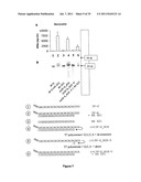 5  TRIPHOSPHATE OLIGONUCLEOTIDE WITH BLUNT END AND USES THEREOF diagram and image