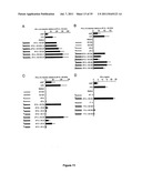 5  TRIPHOSPHATE OLIGONUCLEOTIDE WITH BLUNT END AND USES THEREOF diagram and image