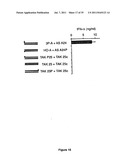 5  TRIPHOSPHATE OLIGONUCLEOTIDE WITH BLUNT END AND USES THEREOF diagram and image