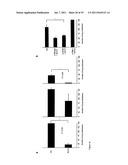 5  TRIPHOSPHATE OLIGONUCLEOTIDE WITH BLUNT END AND USES THEREOF diagram and image