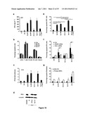 5  TRIPHOSPHATE OLIGONUCLEOTIDE WITH BLUNT END AND USES THEREOF diagram and image