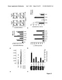 5  TRIPHOSPHATE OLIGONUCLEOTIDE WITH BLUNT END AND USES THEREOF diagram and image